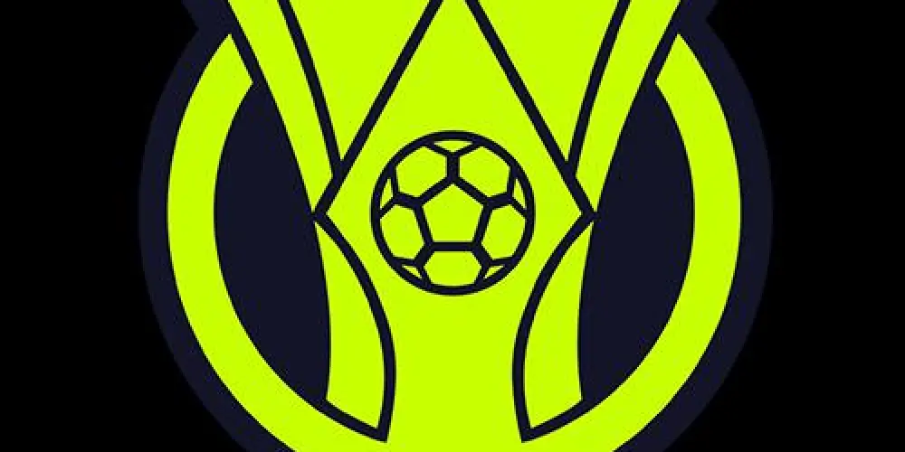 Imagem do grupo de WhatsApp Grupo do brasileirão