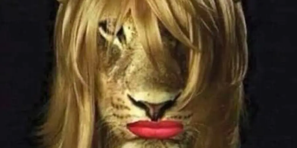 Imagem do grupo de WhatsApp grupo do culto