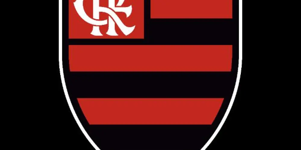 Imagem do grupo de WhatsApp Grupo do flamengo