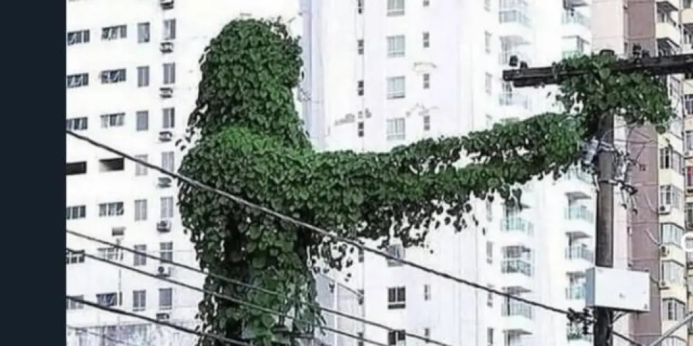 Imagem do grupo de WhatsApp Grupo do Jacinto Pinto😶‍🌫️