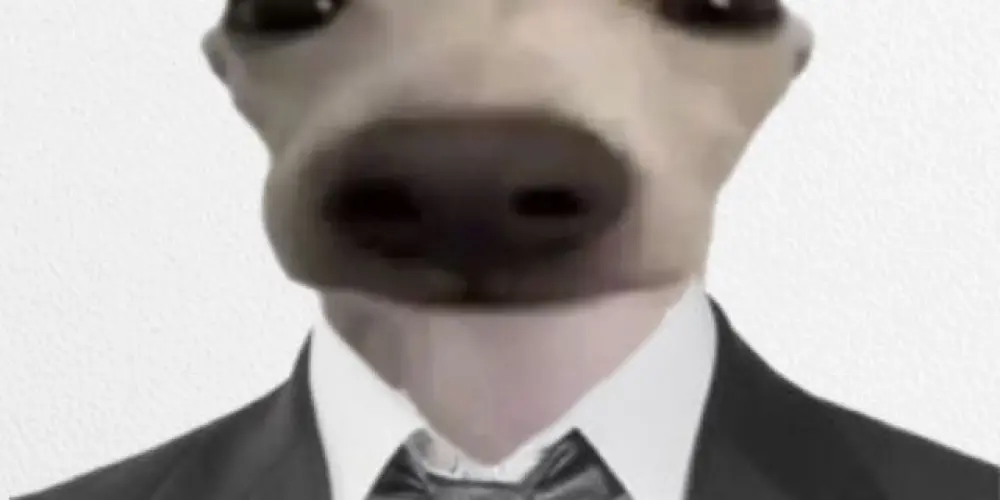 Imagem do grupo de WhatsApp Grupo do Latido - Brasil