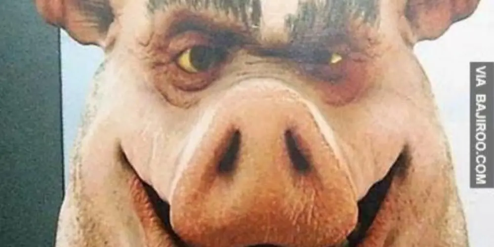 Imagem do grupo de WhatsApp grupo do porco 🐷🔥🍗