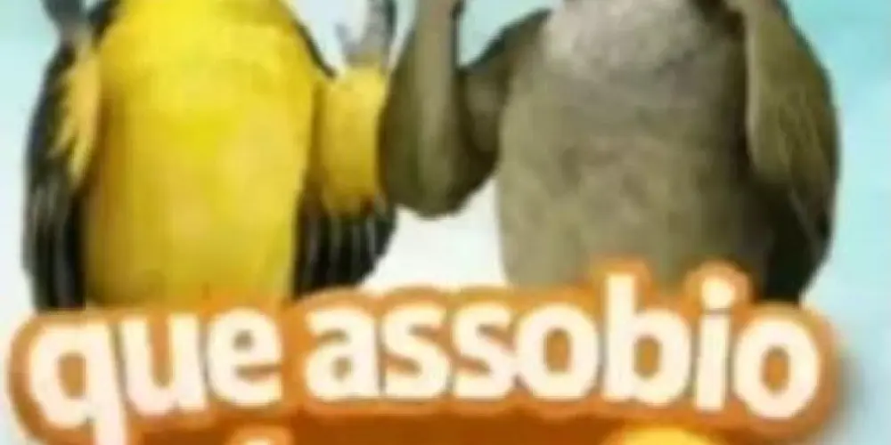 Imagem do grupo de WhatsApp Grupo dos assobiadores