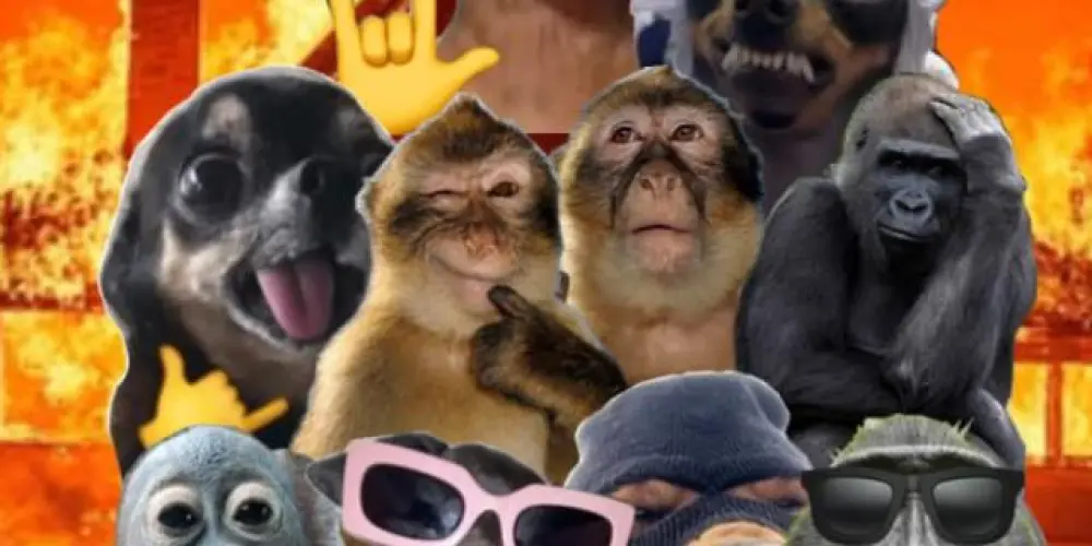 Imagem do grupo de WhatsApp GRUPO DOS AUTISTAS