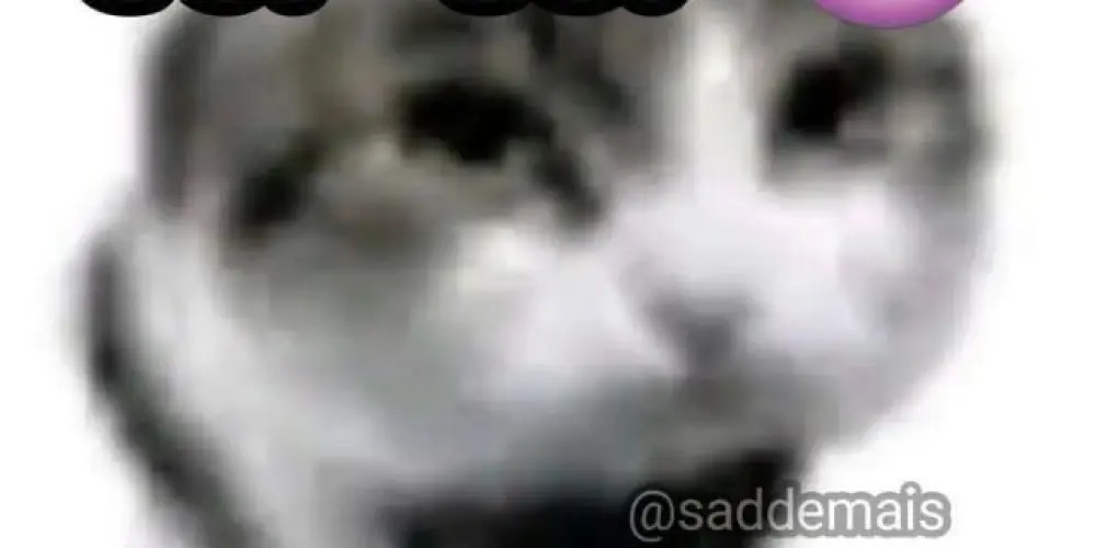 Imagem do grupo de WhatsApp 🤪Grupo dos Benicios 😏