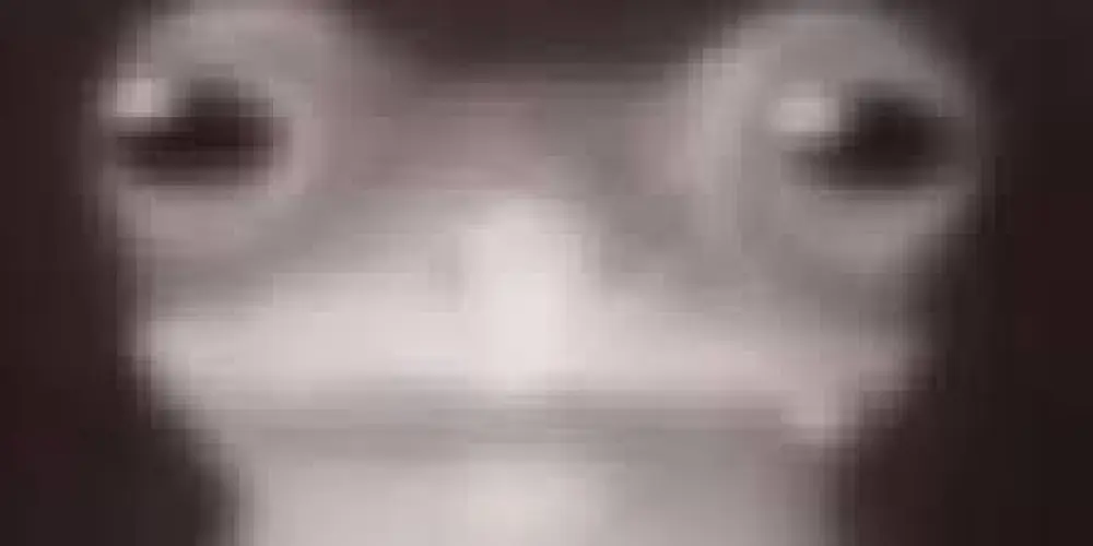 Imagem do grupo de WhatsApp Grupo dos brodi