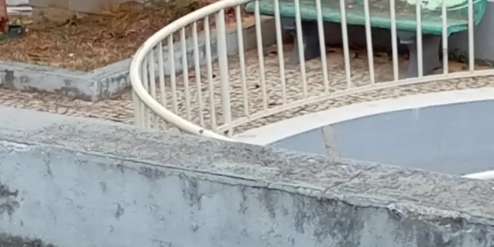 Imagem do grupo de WhatsApp Grupo dos casados 💍