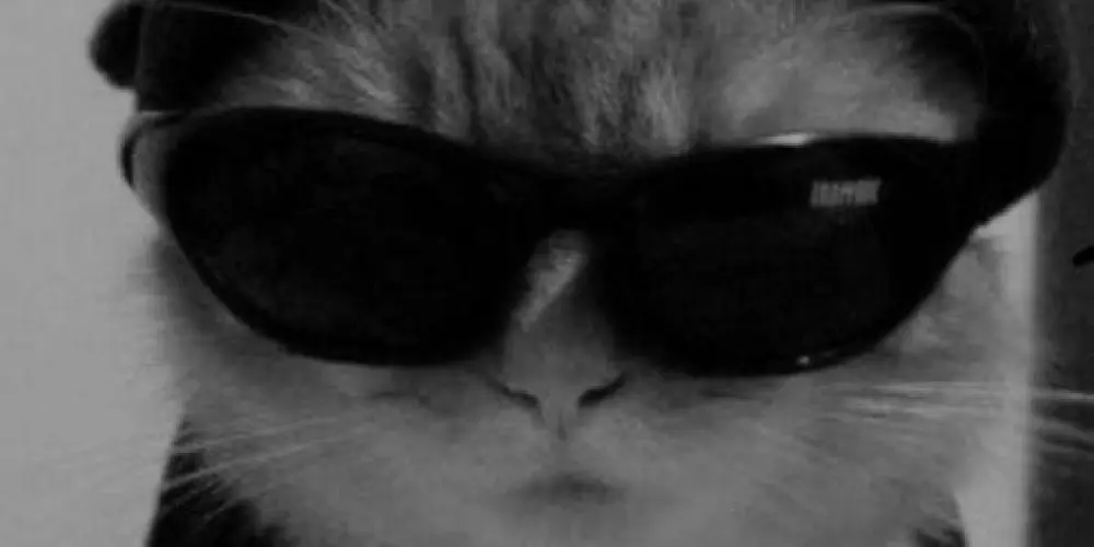 Imagem do grupo de WhatsApp Grupo dos cria