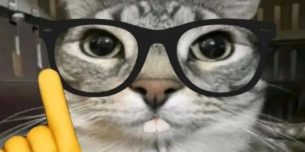 Imagem do grupo de WhatsApp Grupo dos cria