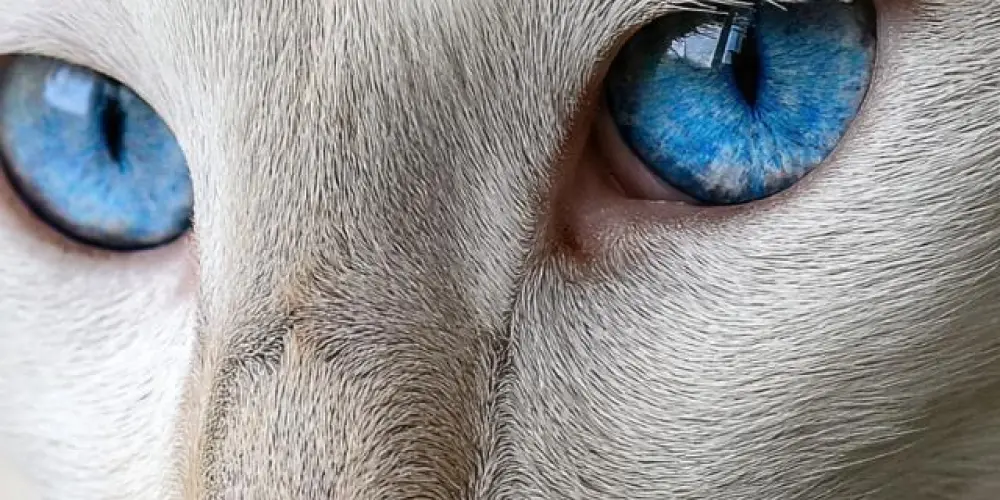 Imagem do grupo de WhatsApp Grupo dos CRIAS (verdadeiro) 😎