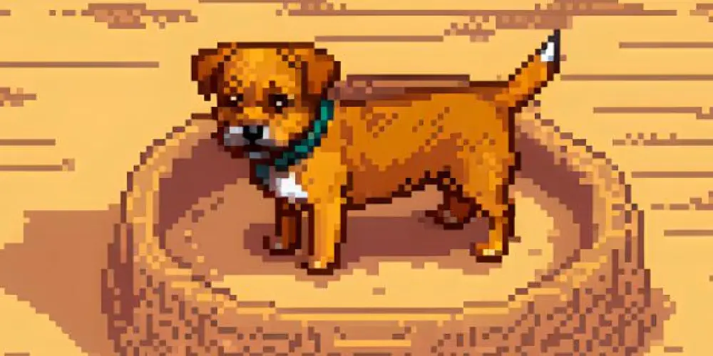 Imagem do grupo de WhatsApp Grupo dos Dev