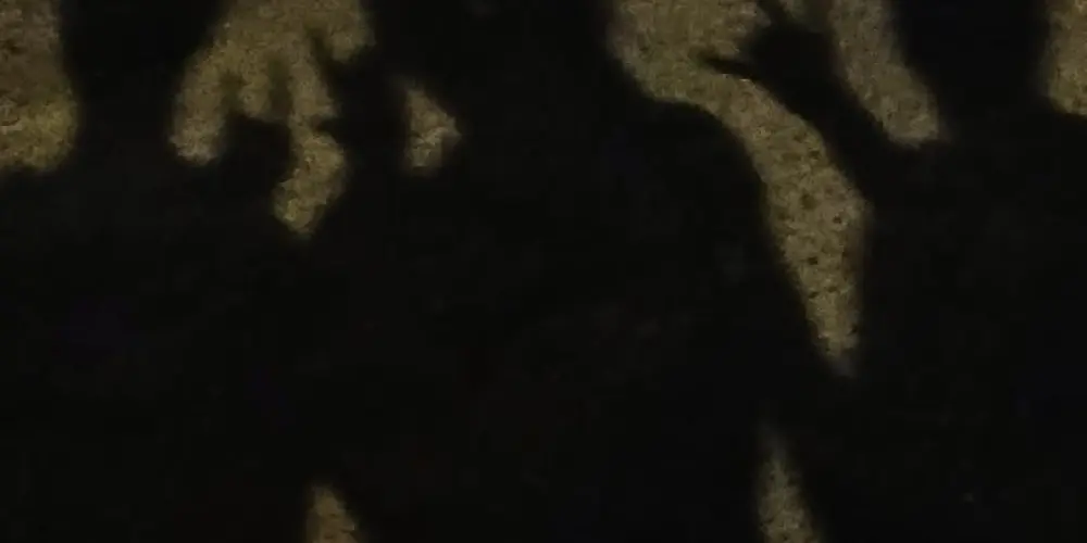 Imagem do grupo de WhatsApp Grupo dos doidos