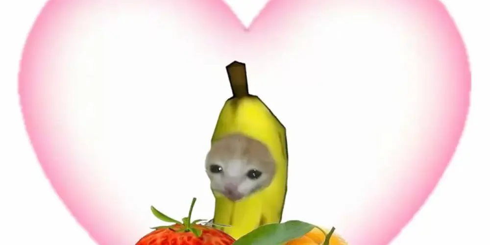 Imagem do grupo de WhatsApp Grupo dos estranhos