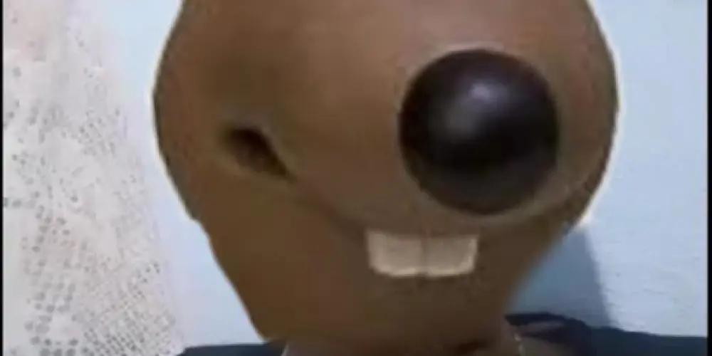Imagem do grupo de WhatsApp Grupo dos fechamentos