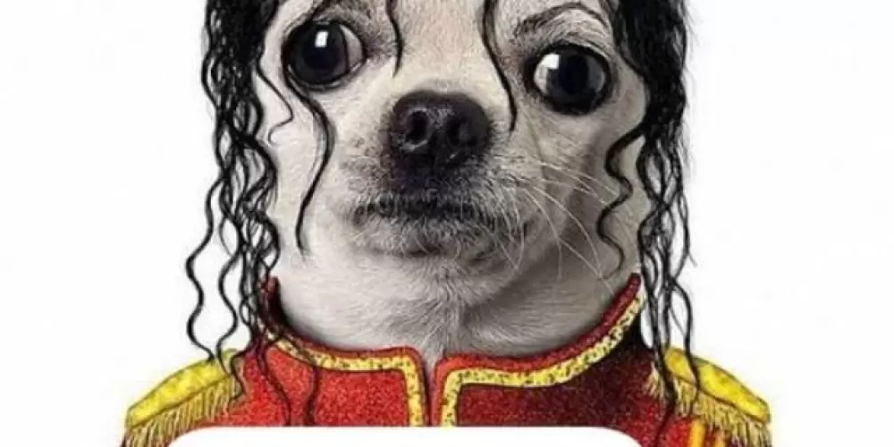 Imagem do grupo de WhatsApp Grupo dos Inativos