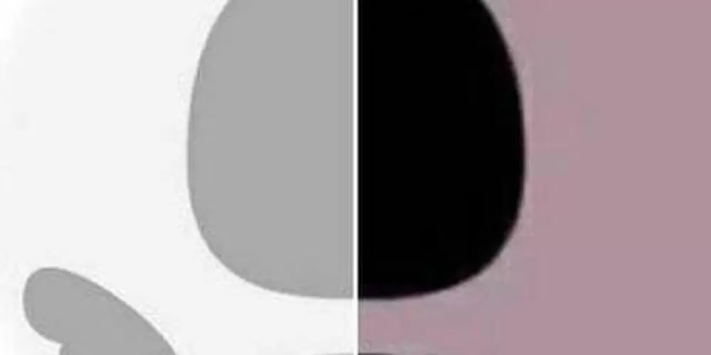 Imagem do grupo de WhatsApp Grupo dos melhores 😽