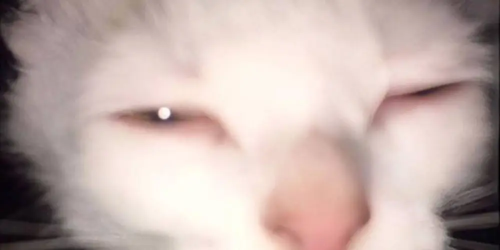 Imagem do grupo de WhatsApp Grupo dos noia