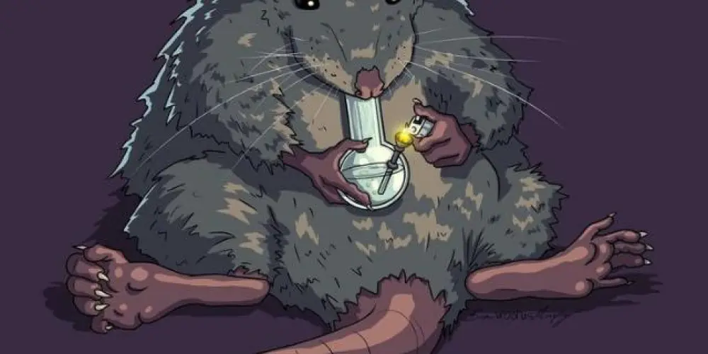 Imagem do grupo de WhatsApp GRUPO DOS RIAS😡🤣