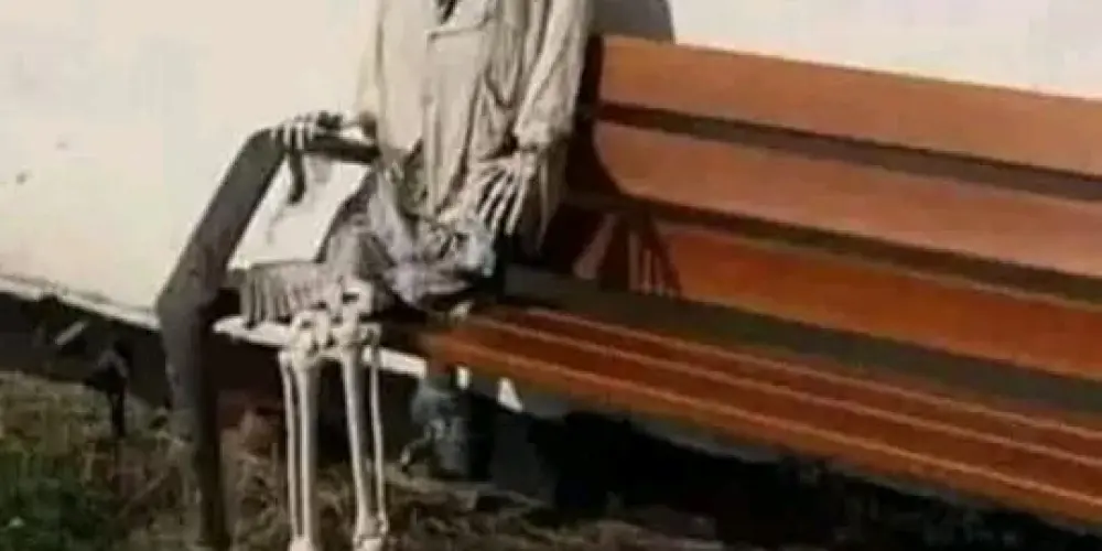 Imagem do grupo de WhatsApp Grupo dos solteiros Lucas da Bahia 🇧🇷