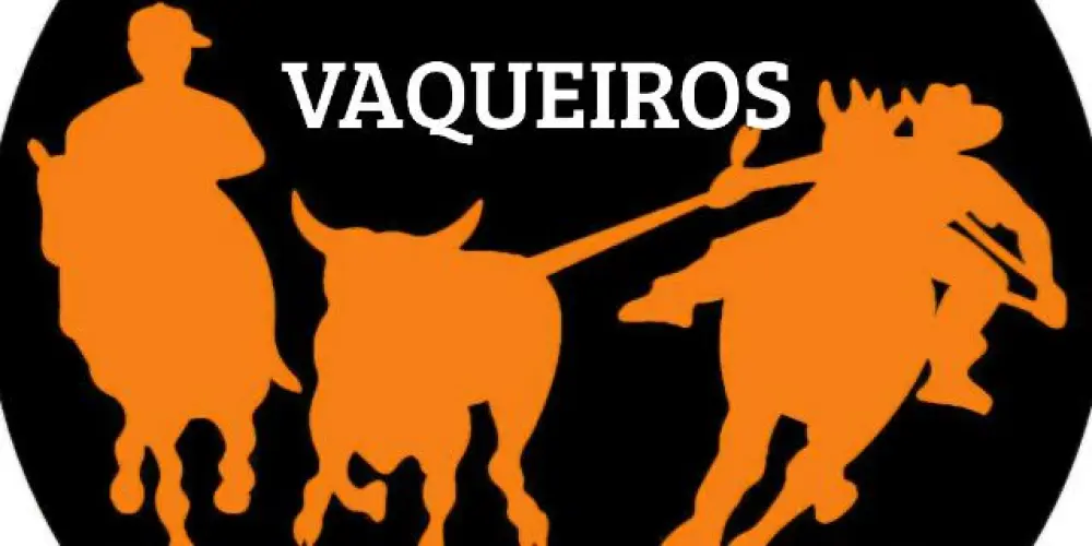 Imagem do grupo de WhatsApp GRUPO DOS VAQUEIROS 🤠🐎🎖️