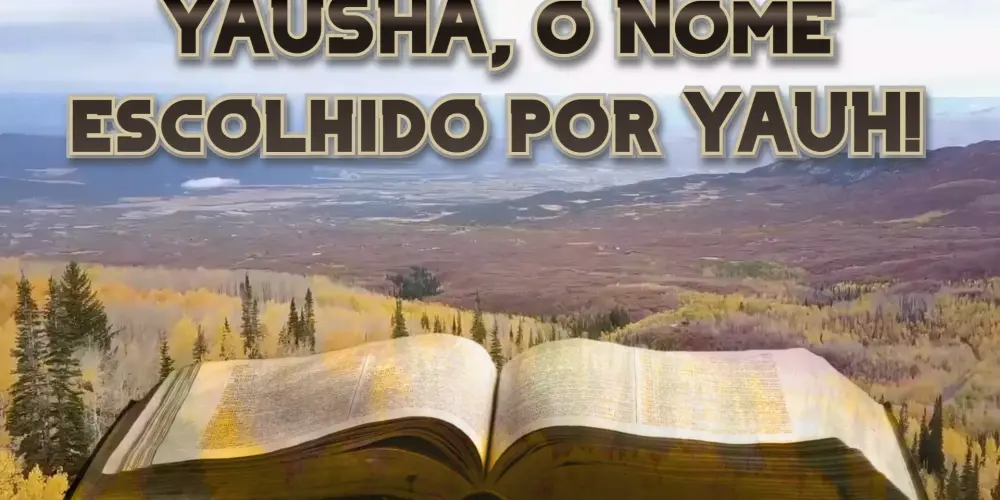 Imagem do grupo de WhatsApp Grupo dos yaudins