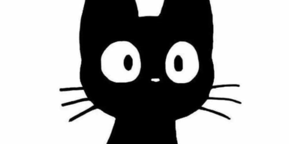 Imagem do grupo de WhatsApp Grupo feminino