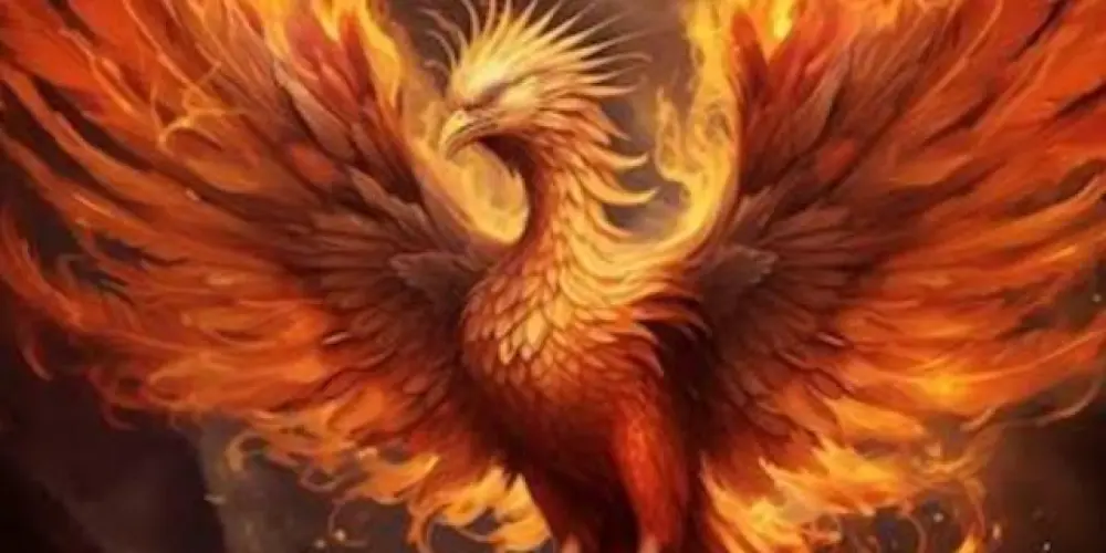 Imagem do grupo de WhatsApp 🔥🔥GRUPO FÊNIX 🔥🔥RENASCIDA DO FOGO