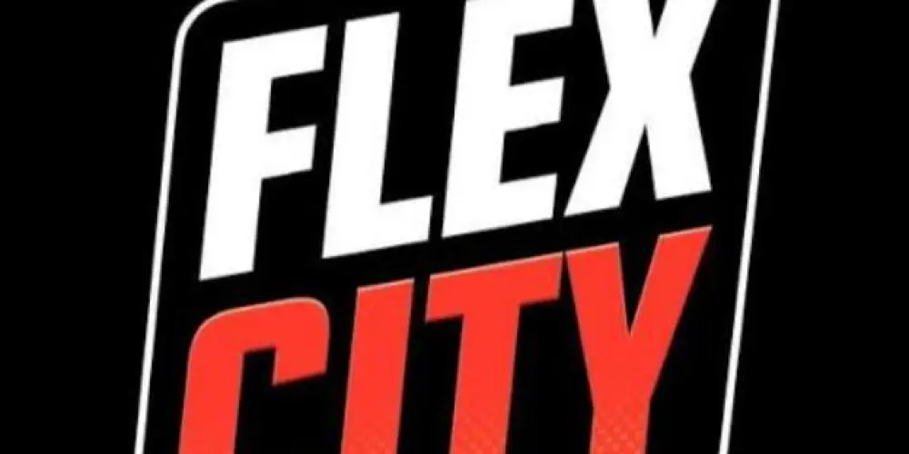 Imagem do grupo de WhatsApp Grupo flex city ⚡
