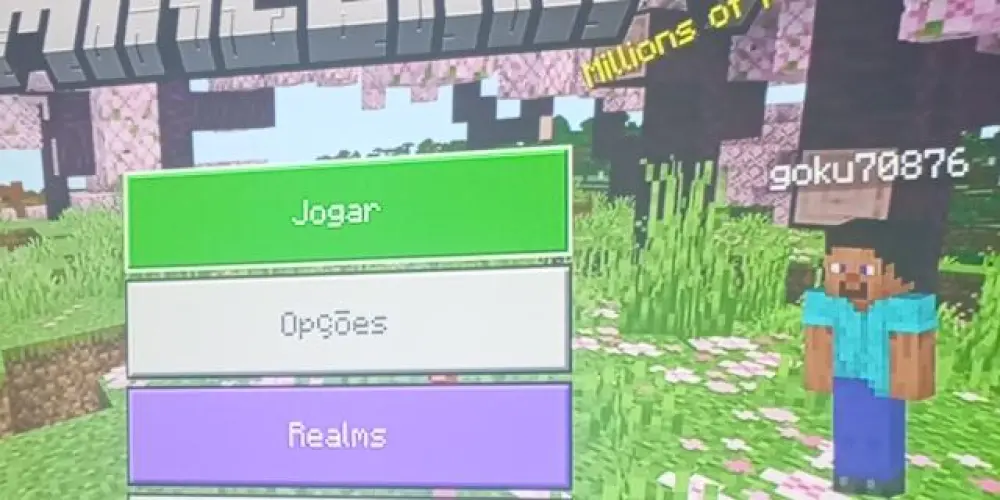 Imagem do grupo de WhatsApp Grupo focado em Minecraft