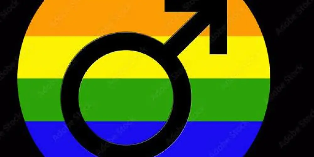 Imagem do grupo de WhatsApp Grupo gay pvh