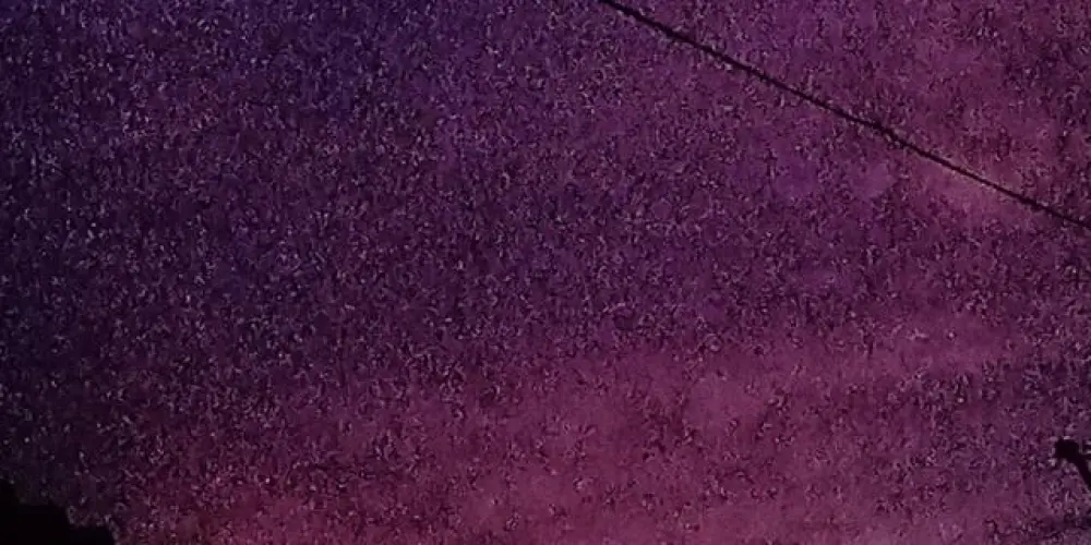 Imagem do grupo de WhatsApp Grupo lésbicas só garotas ❤🥰🧿🧠