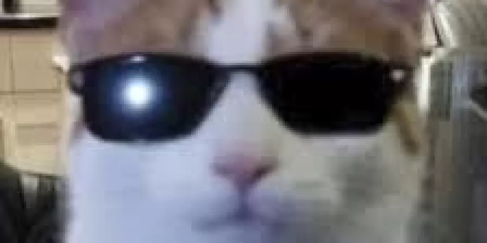 Imagem do grupo de WhatsApp ☠️Grupo Normal 2 ☠️