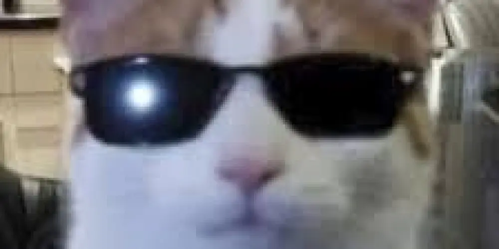 Imagem do grupo de WhatsApp ☠️Grupo Normal 2 ☠️