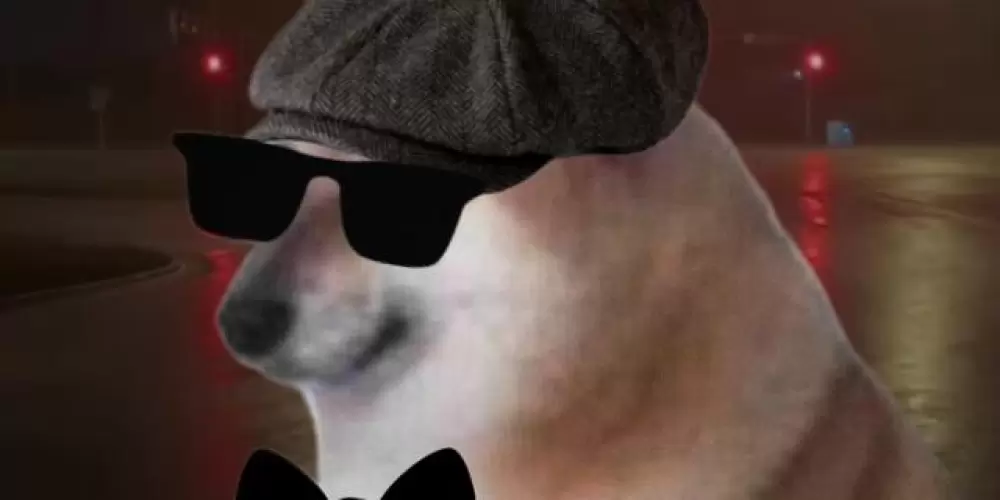 Imagem do grupo de WhatsApp ☠️grupo normal ☠️