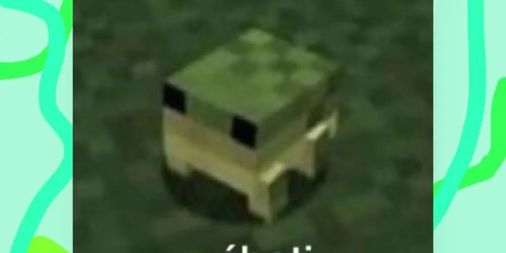 Imagem do grupo de WhatsApp Grupo Nova Era