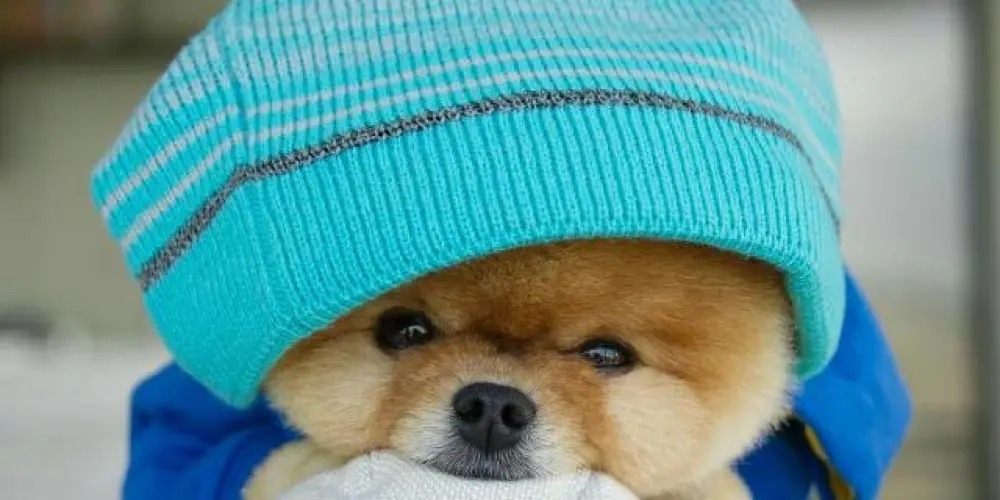 Imagem do grupo de WhatsApp ⚡⚡Grupo Novo⚡⚡