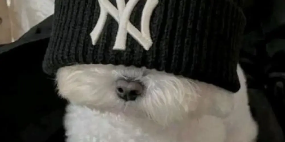 Imagem do grupo de WhatsApp Grupo nudista para todos