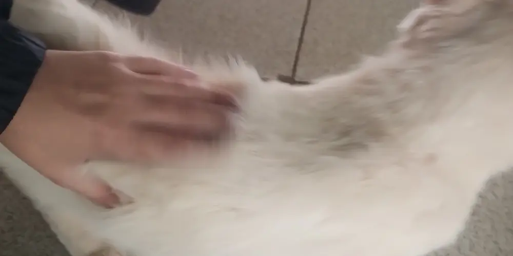 Imagem do grupo de WhatsApp grupo para amizades