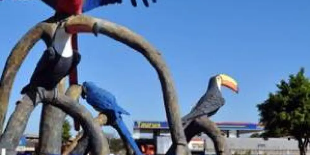 Imagem do grupo de WhatsApp Grupo para amizades pra pessoas de amambai ms