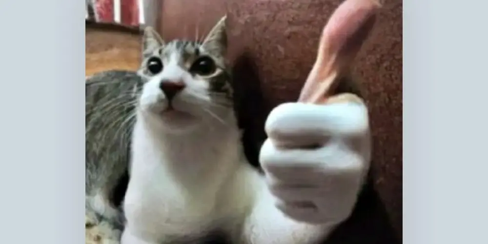 Imagem do grupo de WhatsApp GRUPO PARA CONVERSAR