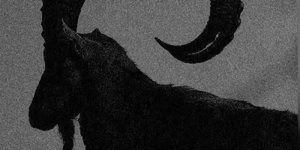 Imagem do grupo de WhatsApp GRUPO PODE TUDO