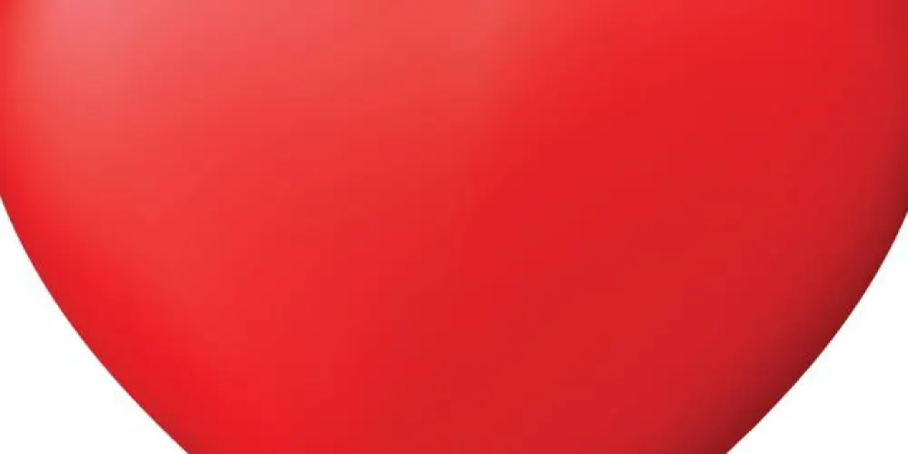 Imagem do grupo de WhatsApp Grupo pra eu arrumar uma namorada