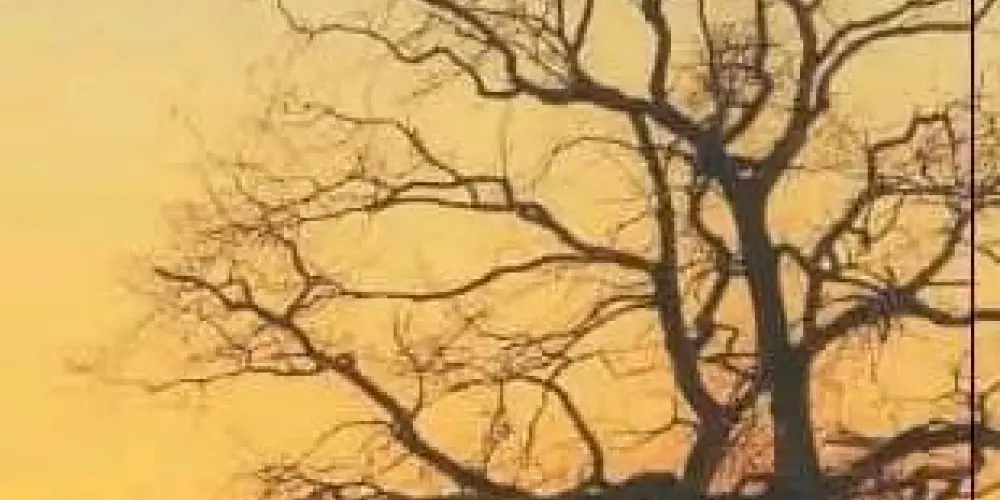 Imagem do grupo de WhatsApp Grupo pra todo mundo 😃😁