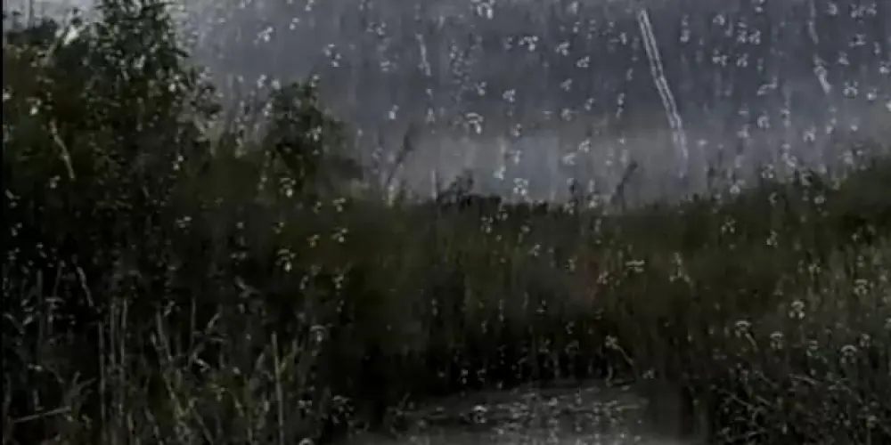 Imagem do grupo de WhatsApp Grupo RENEGADOS🍷🚩💵📚