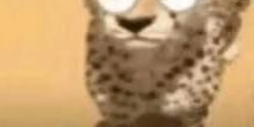 Imagem do grupo de WhatsApp grupo sem nome