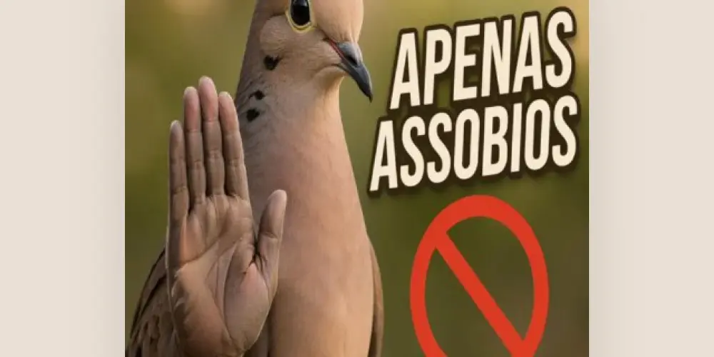 Imagem do grupo de WhatsApp GRUPO SO PRA Quem Sabe ASSOVIAR