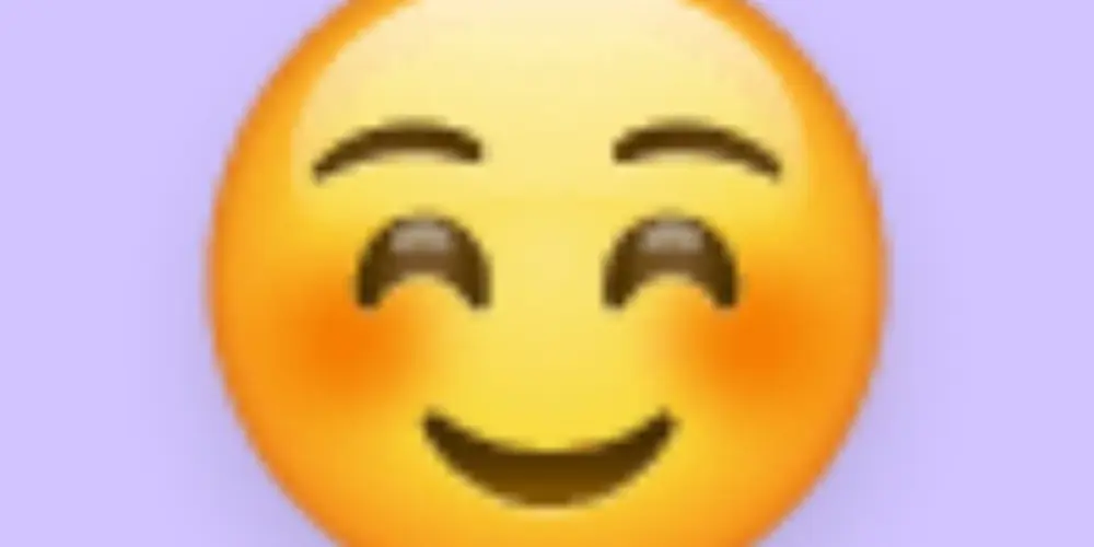 Imagem do grupo de WhatsApp Grupo solidário arrecadando inscritos para meu canal 🤗