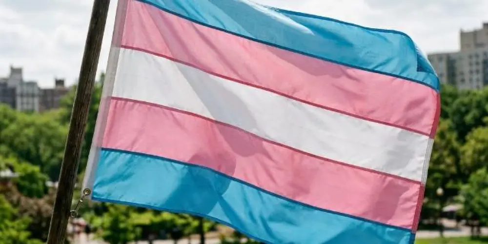 Imagem do grupo de WhatsApp Grupo trans da Bahia