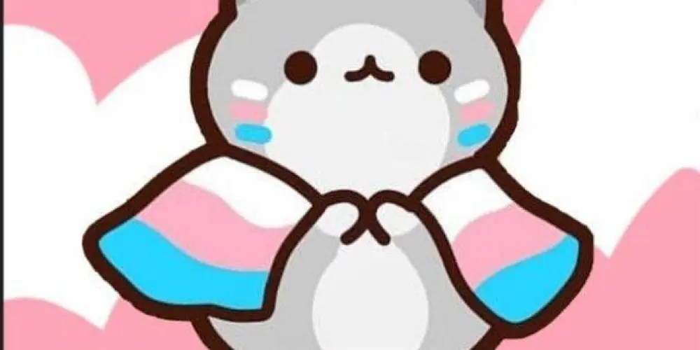 Imagem do grupo de WhatsApp 💙💗 Grupo trans e travesti 💗💙