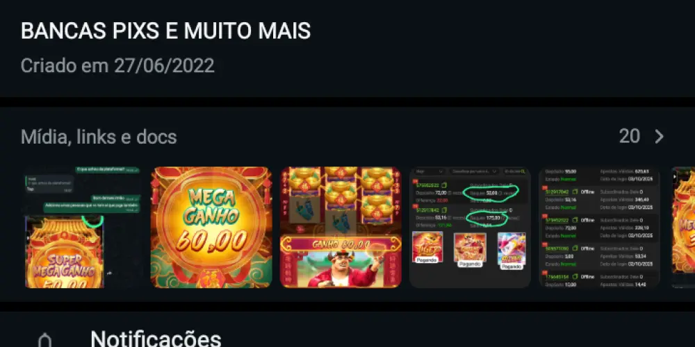 Imagem do grupo de WhatsApp Grupo Vip Apostadores 🤑🐯